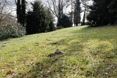 PHOTO_20170308_124216-02-1