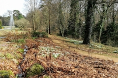 PHOTO_20170308_124225-1