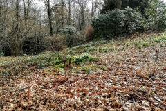 PHOTO_20170308_124250-1