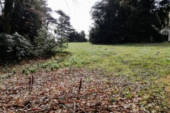 PHOTO_20170308_124256-1