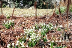 PHOTO_20170308_124307-1