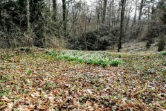 PHOTO_20170308_124324-1