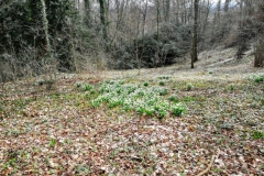 PHOTO_20170308_124331-1