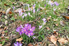 PHOTO_20170308_124511