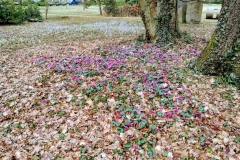 PHOTO_20170308_124625