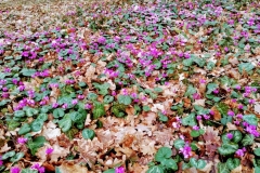 PHOTO_20170308_124636