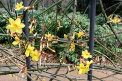 PHOTO_20170308_124947