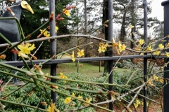 PHOTO_20170308_125012-1