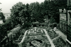 Gartenteich-von-oben