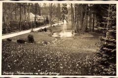 Postkarte_Eckberg_1942_Krokuswiese