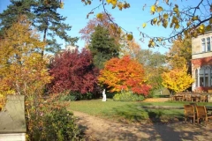 Schloss-Terrasse-Herbst
