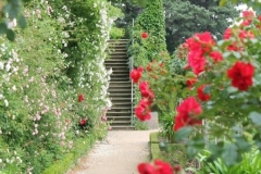 Schloss_Steingarten-002