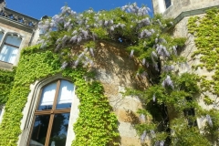 Schloss
