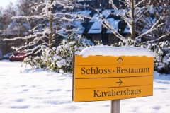Schloss_Eckberg_190117_027